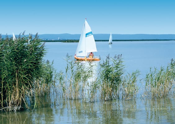 Neusiedler See