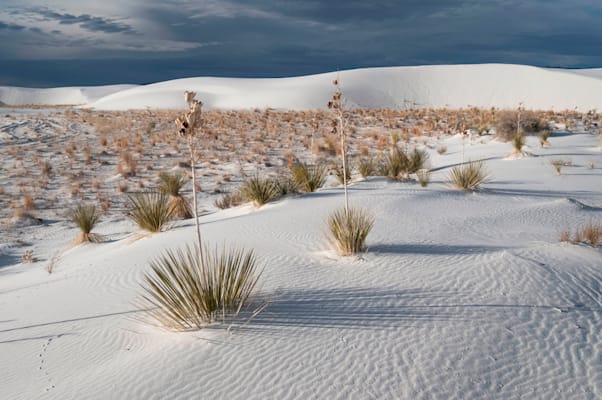 New Mexico: White Sands National Monument