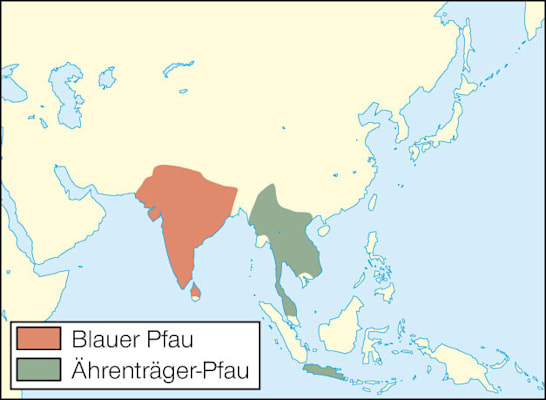 Pfauen: Verbreitung