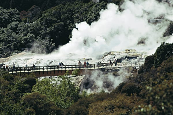 Neuseeland: Geysir Pohutu