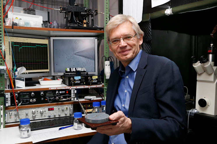 Peter Hegemann