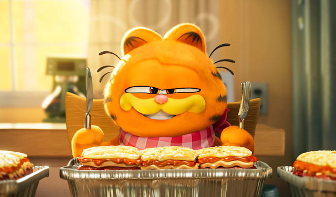 Kater Garfield