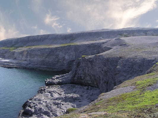 Labrador: Burnt Cape Halbinsel