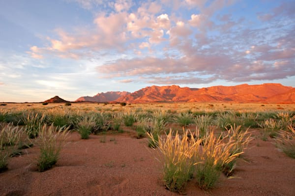 Namibia: Brandberg