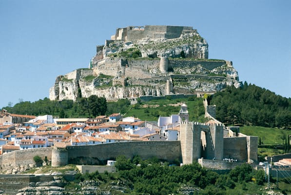 Morella