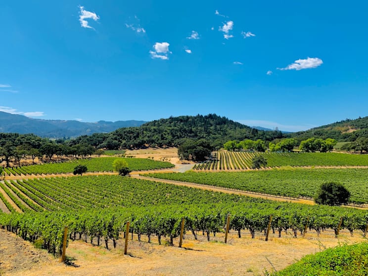 Napa Valley: Weinbaugebiet