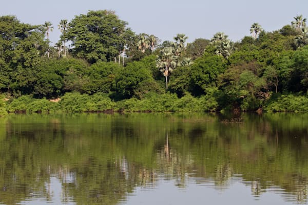 Senegal: Niokolo-Koba