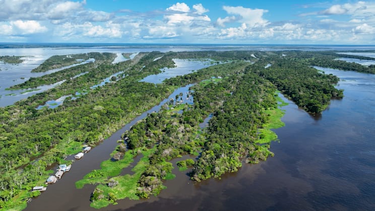Amazonas