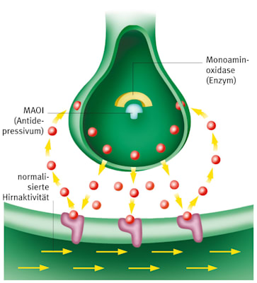 Gehirn: Neurotransmitter, Depression