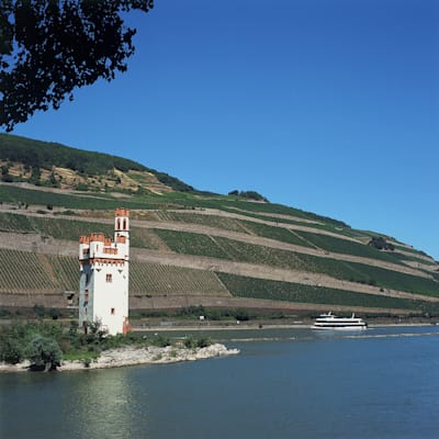 Bingen: Mäuseturm