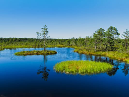 Estland: Nationalpark Lahemaa