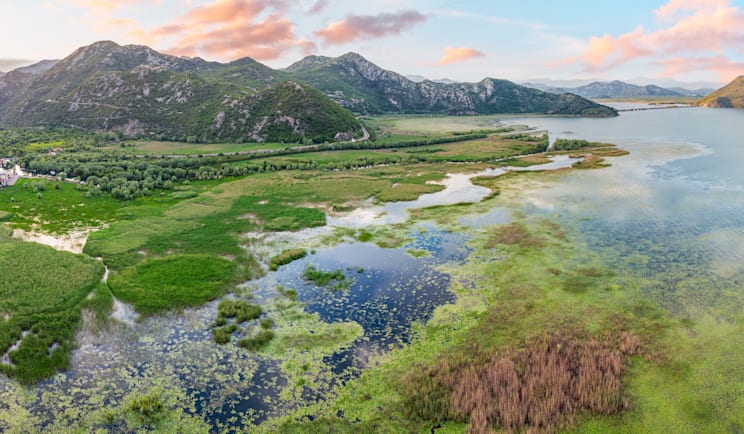 Skutarisee in Montenegro