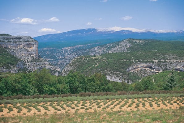 Ventoux: Mount Ventoux