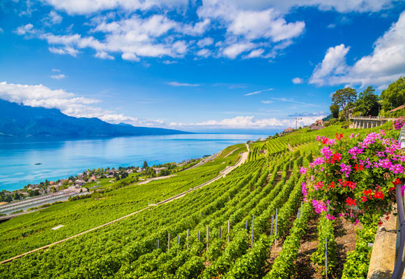 Schweiz: Weinanbau am Genfer See