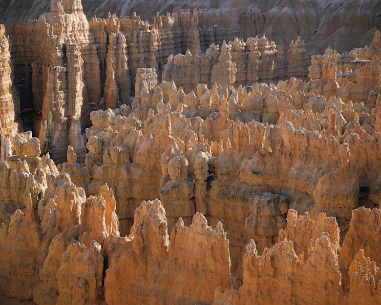 Nordamerika: Bryce Canyon National Park