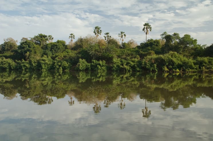 Senegal: Niokolo-Koba