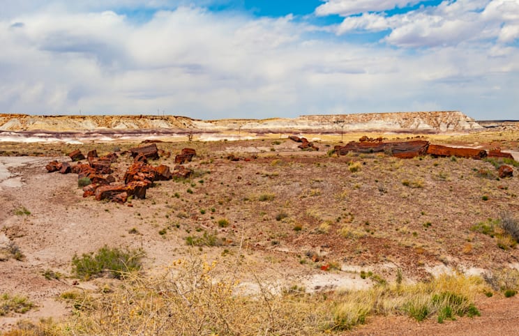 Painted Desert: National Park