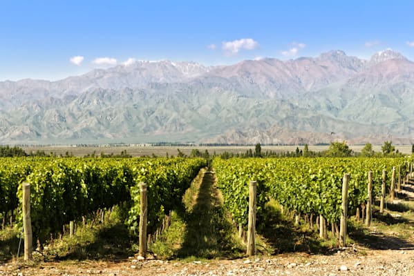 Mendoza: Weinbaugebiet