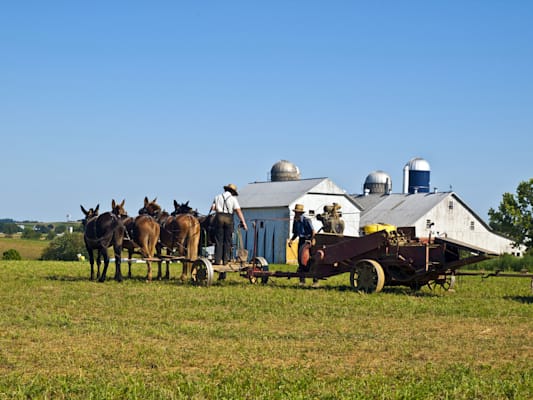 Lancaster: Amish