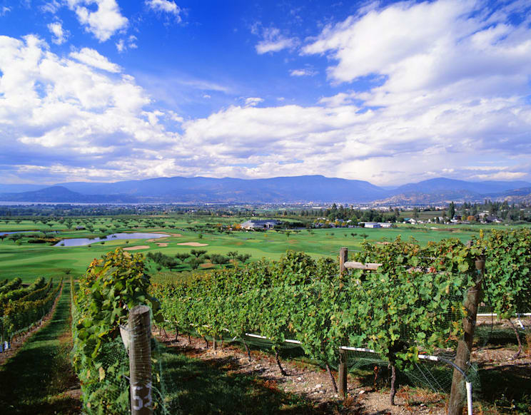 Kelowna: Weinanbau