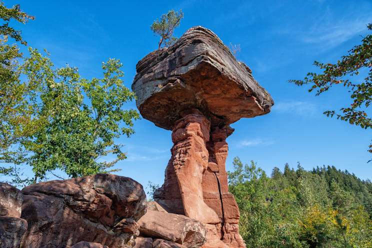 Pfälzerwald: Teufelstisch