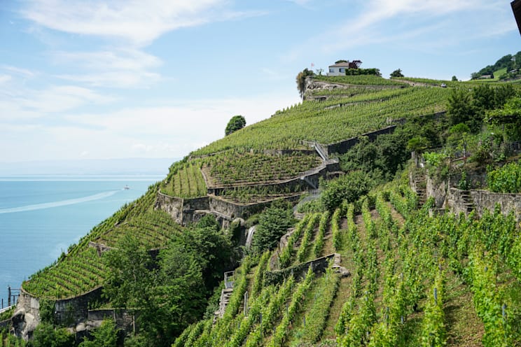 Schweiz: Lavaux