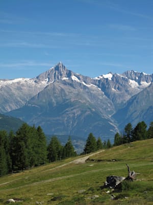 Bietschhorn