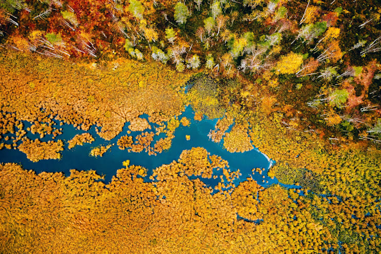 Finnland: Sumpflandschaft