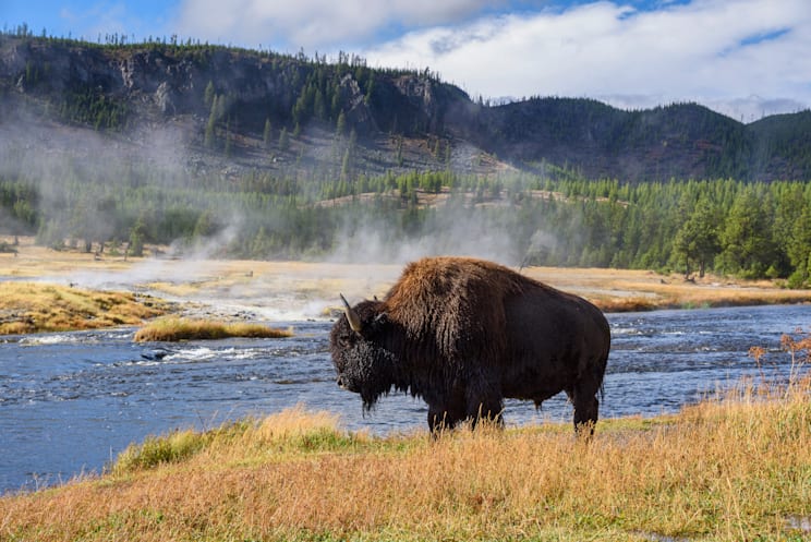 Yellowstone-Nationalpark