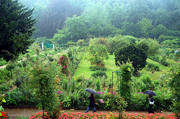 Gartenkunst: Claude Monets Garten