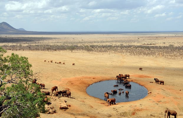 Tsavo-Nationalpark: Wasserstelle