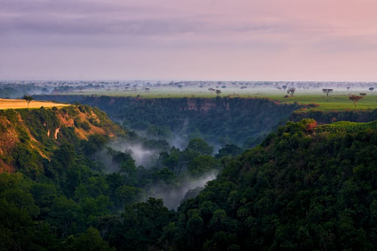 Uganda: Kyambura-Schlucht