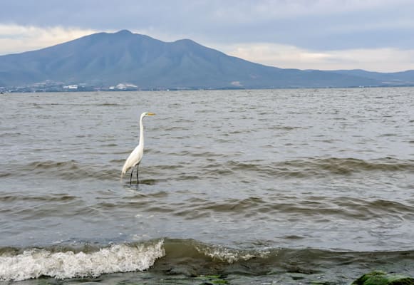 Chapala: Chapala-See