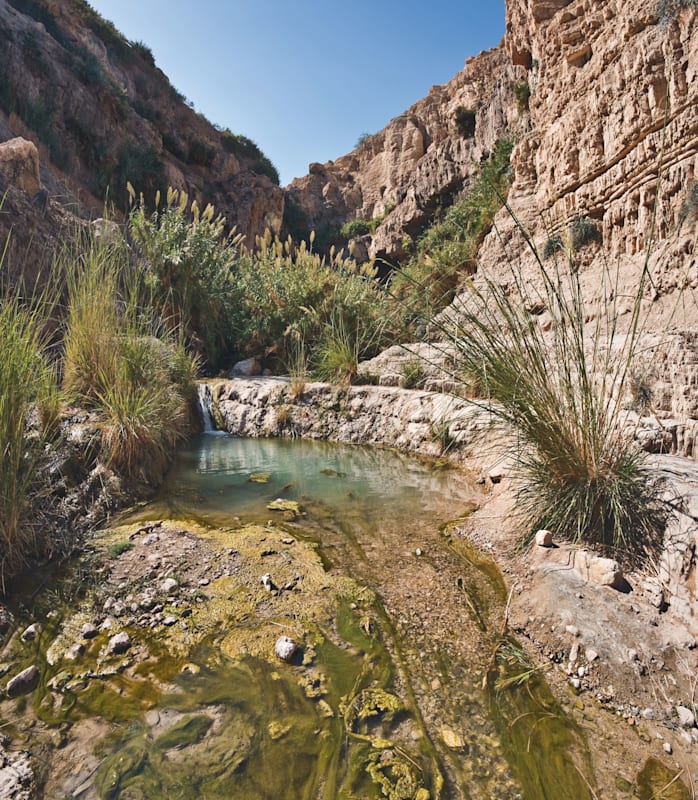Israel: En Gedi