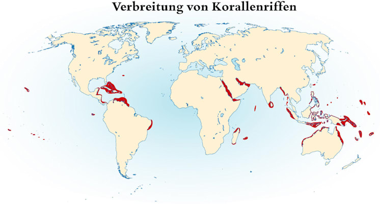 Korallenbauten: Verbreitung