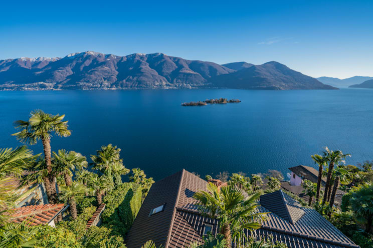 Palmen bei Brissago am Lago Maggiore