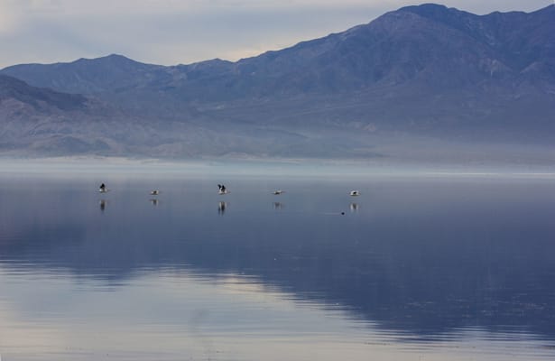 Salton Sea