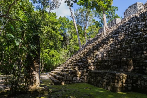 Calakmul: Ruine