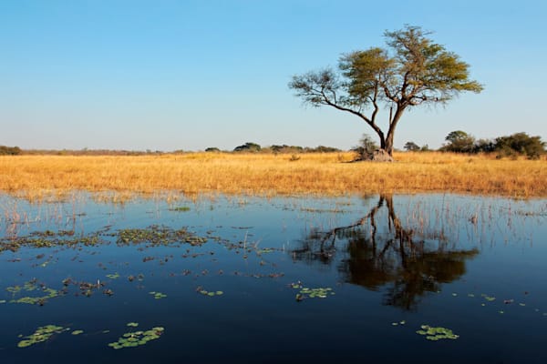 Caprivi-Zipfel: Cuando