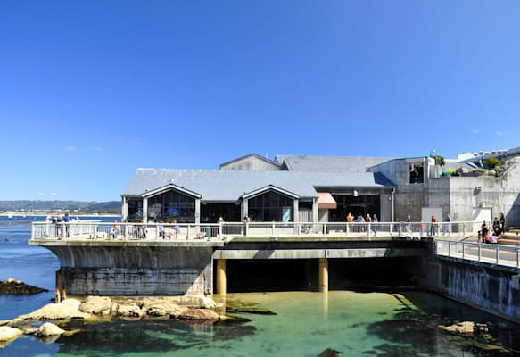 Monterey: Aquarium