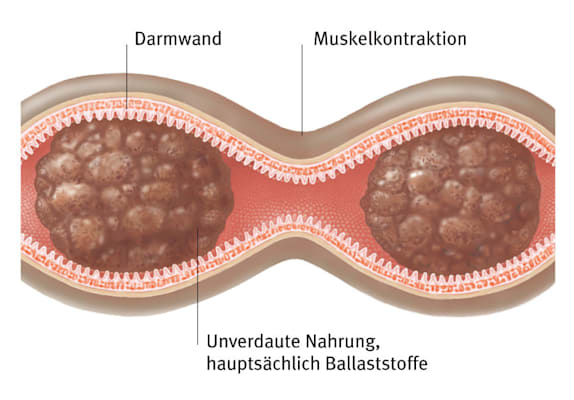 Ernährung: Ballaststoffe