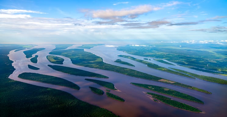 Essequibo: Regenwald