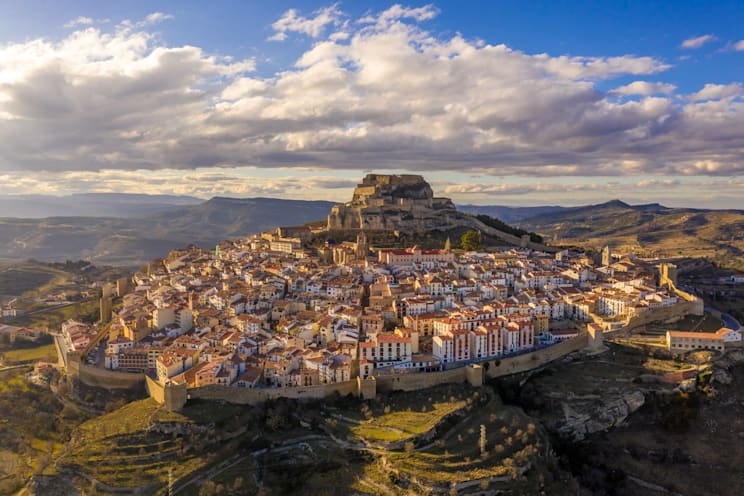 Morella