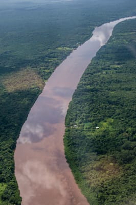 Essequibo: Regenwald