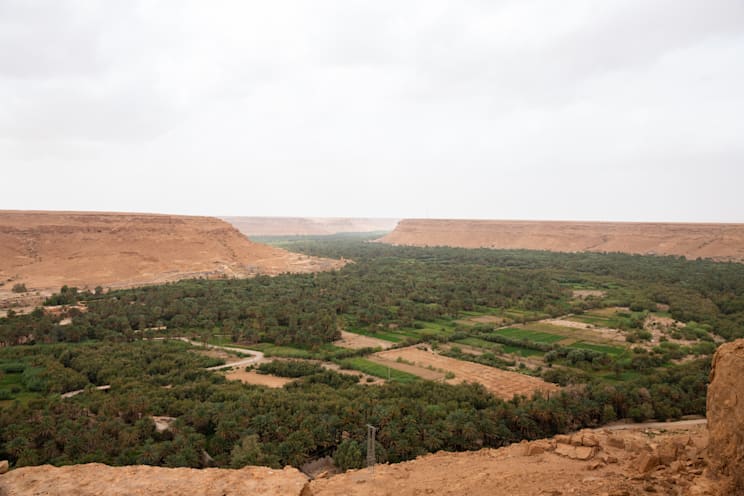 Errachidia: Grüne Oase