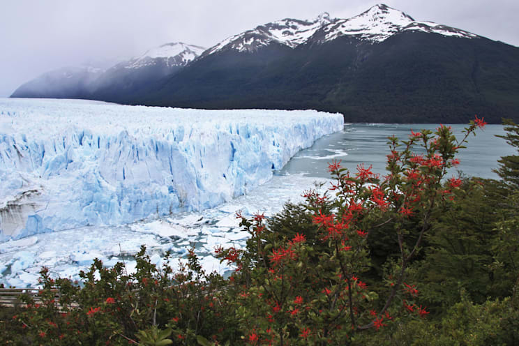 Gletscher: Perito-Moreno-Gletscher