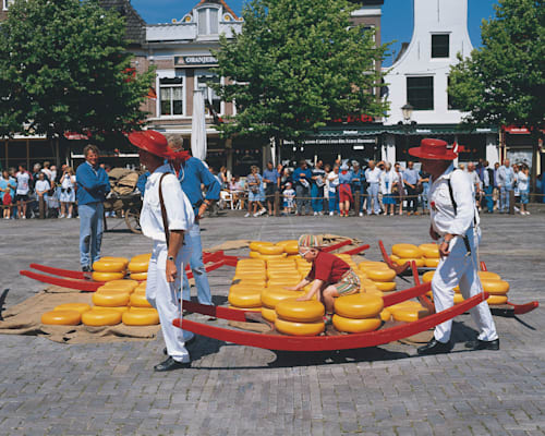 Niederlande: Alkmaarer Käsemarkt