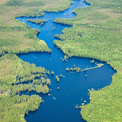 Ökosystem Wald und Fluss