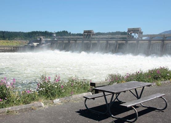 Bonneville Dam